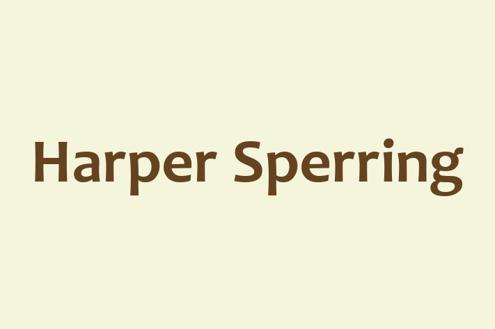 Harper Sperring