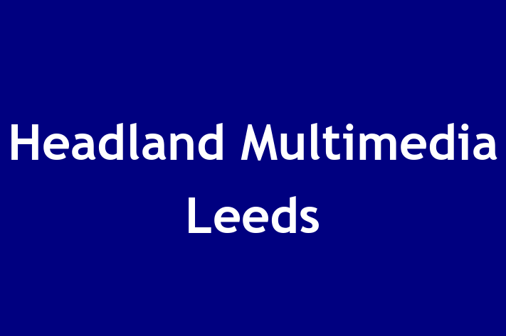 Headland Multimedia   Leeds