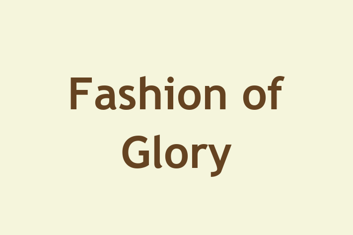 Fashion of Glory