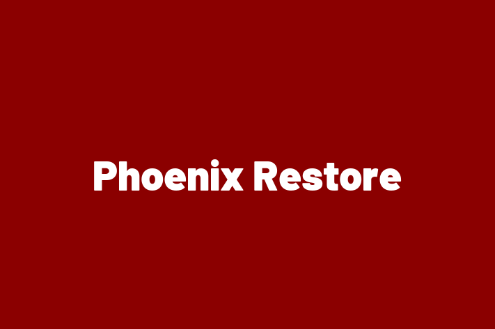 Phoenix Restore