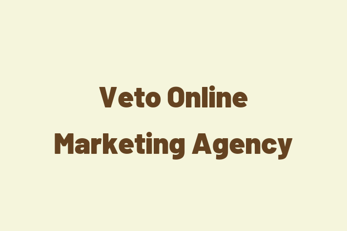 Veto Online Marketing Agency