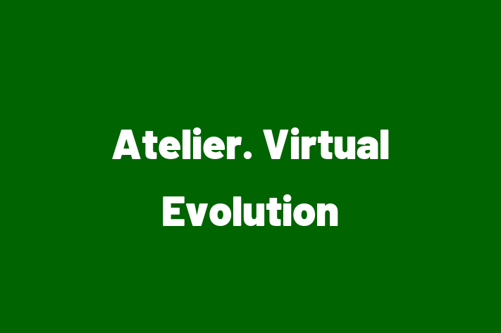 Atelier  Virtual Evolution