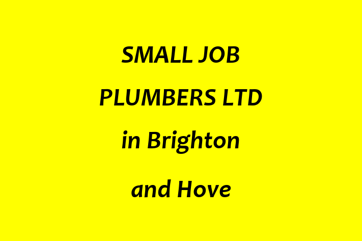 SMALL JOB PLUMBERS LTD in Brighton and Hove