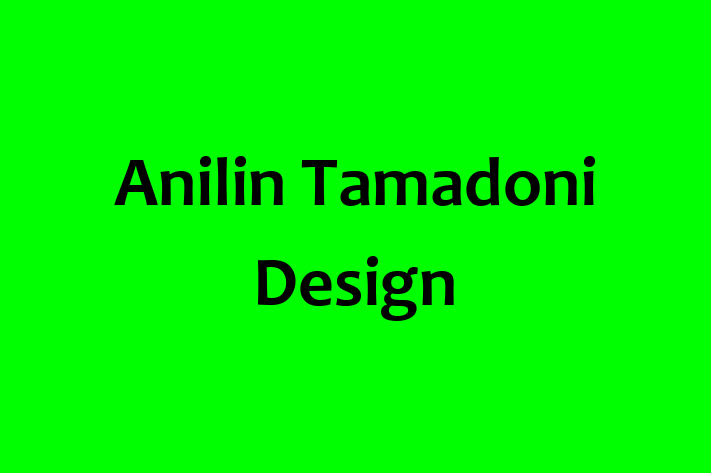 Anilin Tamadoni Design