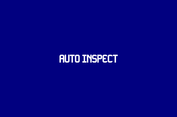 Auto Inspect