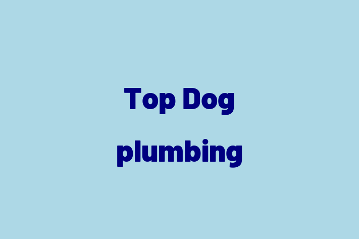 Top Dog plumbing