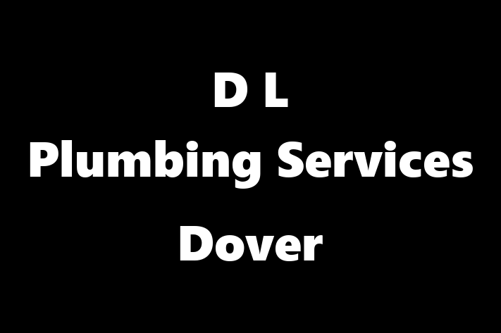 D L Plumbing Services Dover