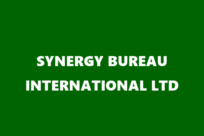 SYNERGY BUREAU INTERNATIONAL LTD