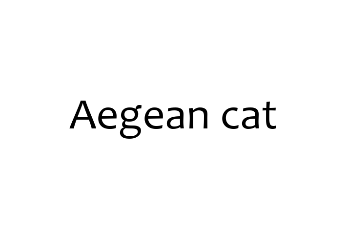 Aegean cat Cat for Sale in Reading