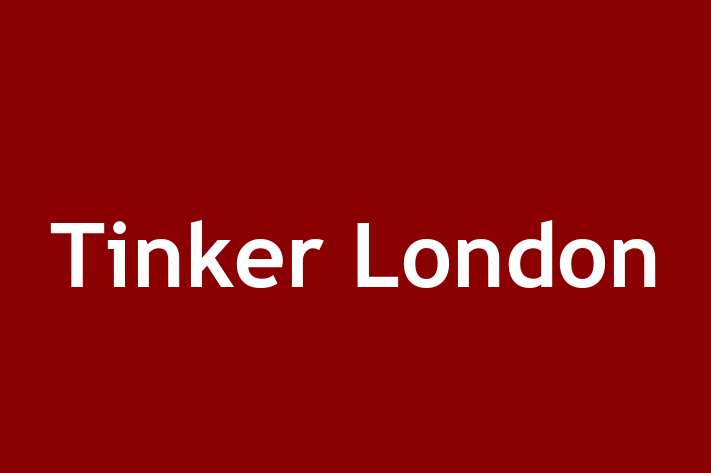 Tinker London