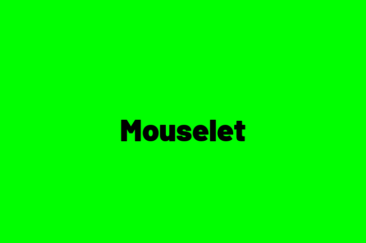 Mouselet