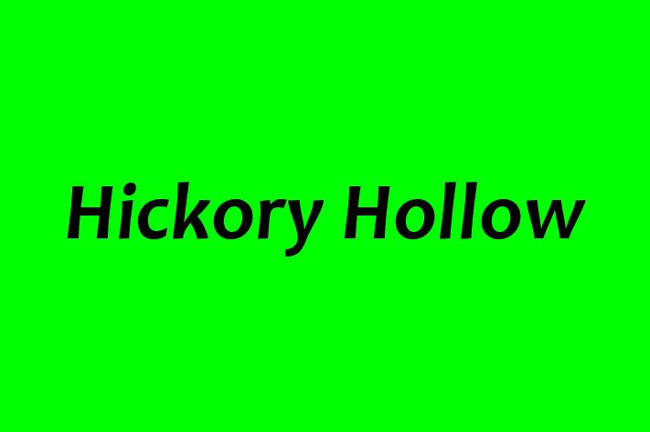 Hickory Hollow