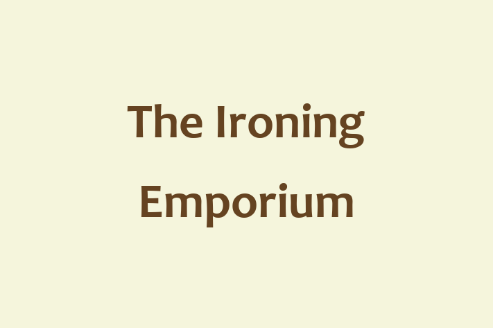 The Ironing Emporium