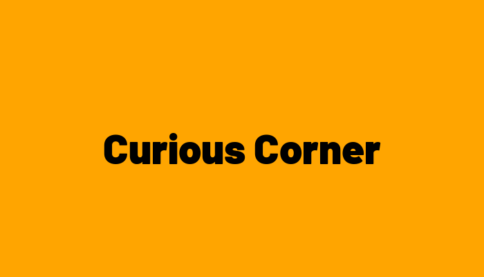 Curious Corner