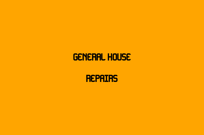 General House Repairs