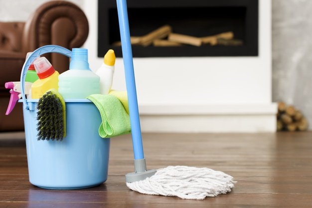 Top Domestic Cleaners London