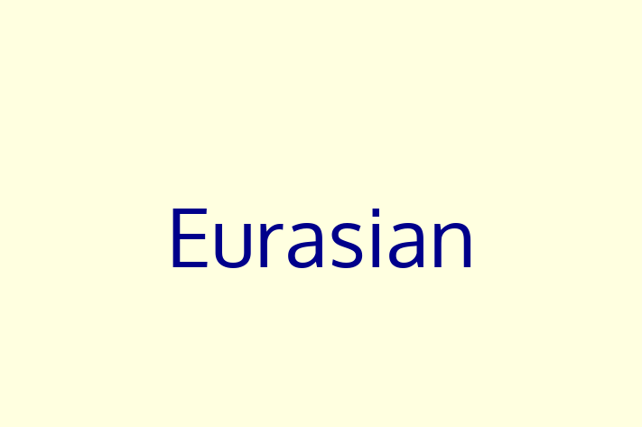 Adopt a Dog Today Eurasian in Birmingham