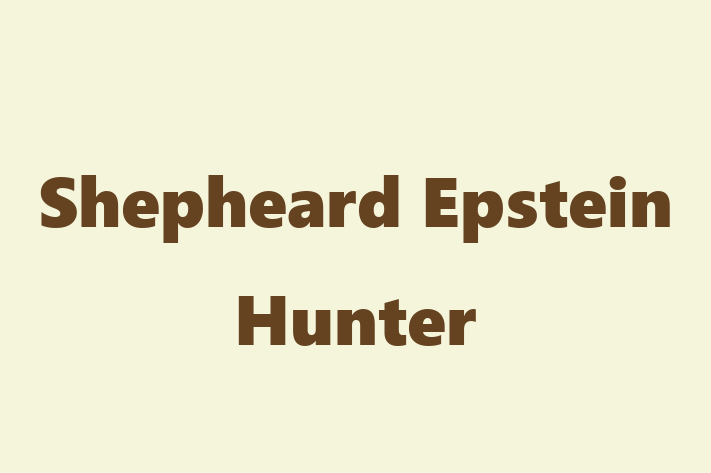 Shepheard Epstein Hunter