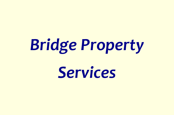 Bridge Property Services