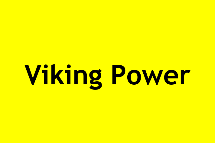 Viking Power