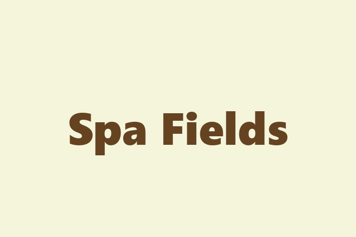 Spa Fields