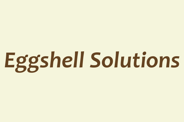 Eggshell Solutions