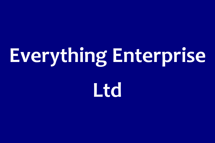 Everything Enterprise Ltd