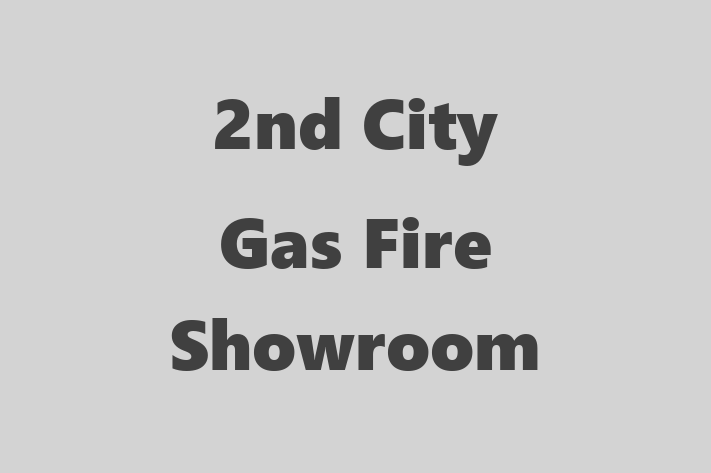 2nd City Gas Fire Showroom