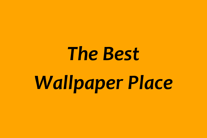 The Best Wallpaper Place