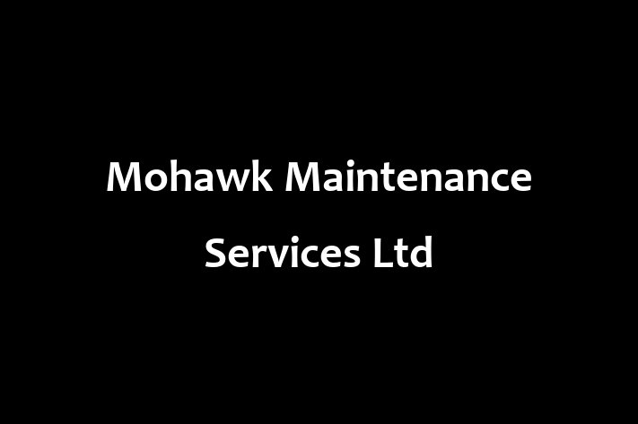 Mohawk Maintenance Services Ltd