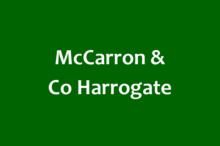 McCarron & Co Harrogate