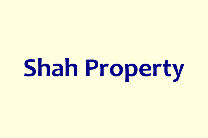 Shah Property