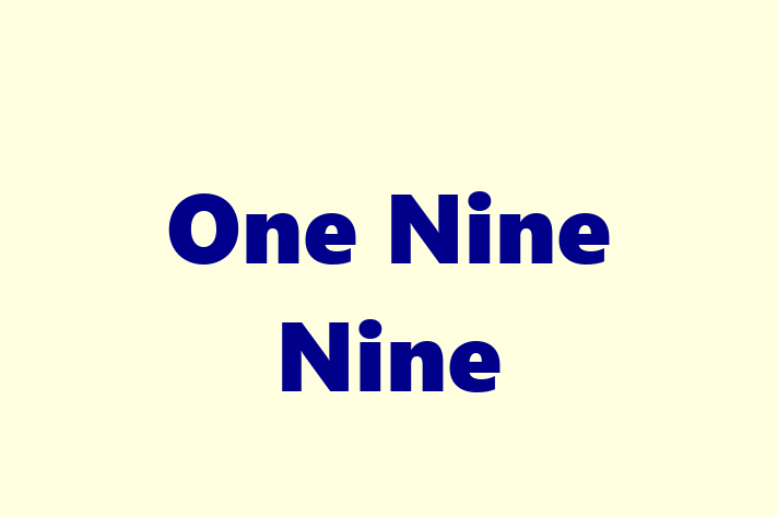 One Nine Nine