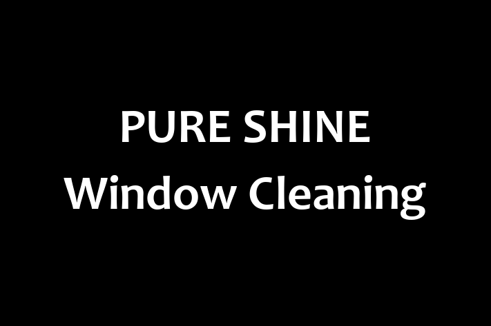 PURE SHINE Window Cleaning