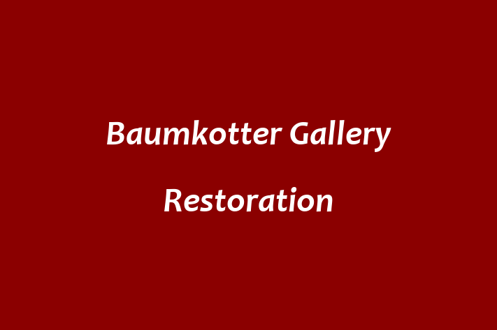 Baumkotter Gallery Restoration