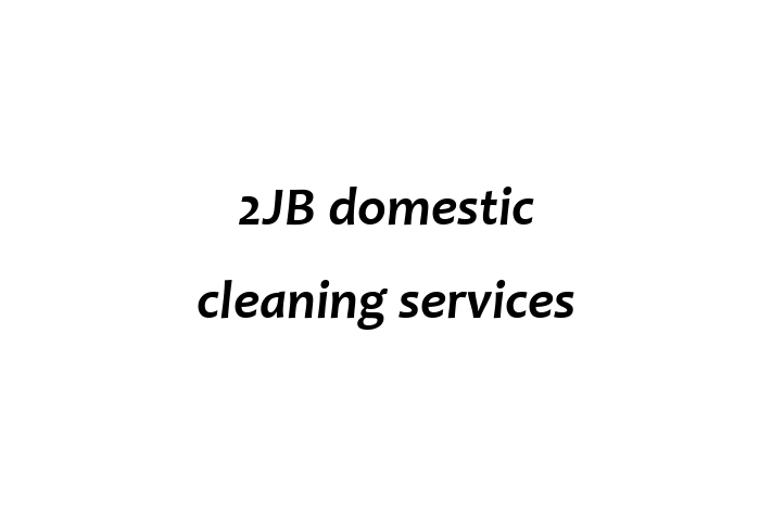 2JB domestic cleaning services