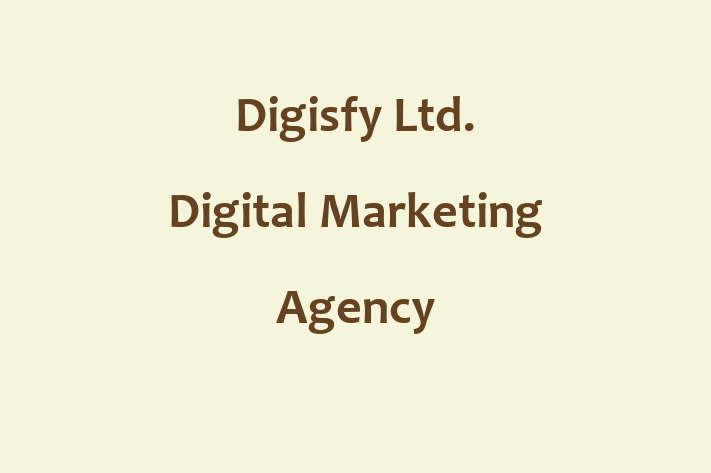 Digisfy Ltd  Digital Marketing Agency