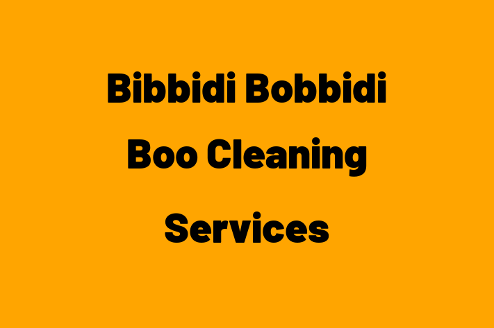 Bibbidi Bobbidi Boo Cleaning Services