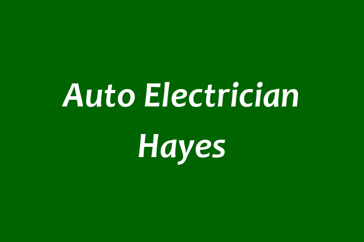 Auto Electrician Hayes