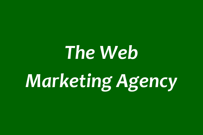 The Web Marketing Agency