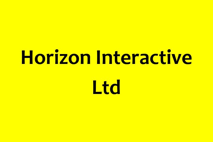 Horizon Interactive Ltd