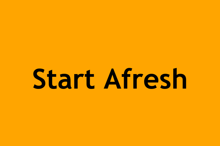 Start Afresh