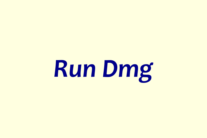 Run Dmg