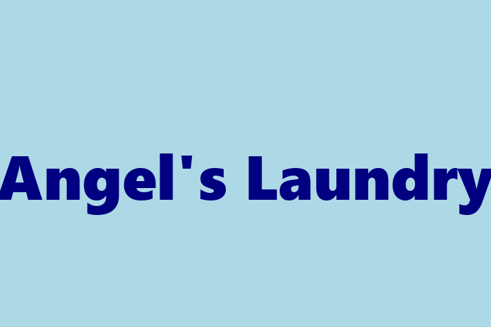 Angel's Laundry