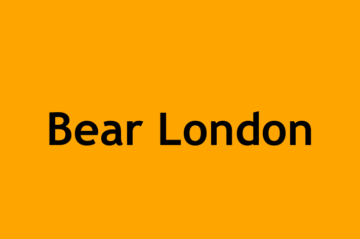 Bear London