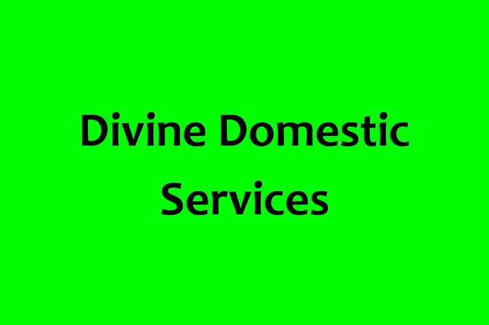 Divine Domestic Services