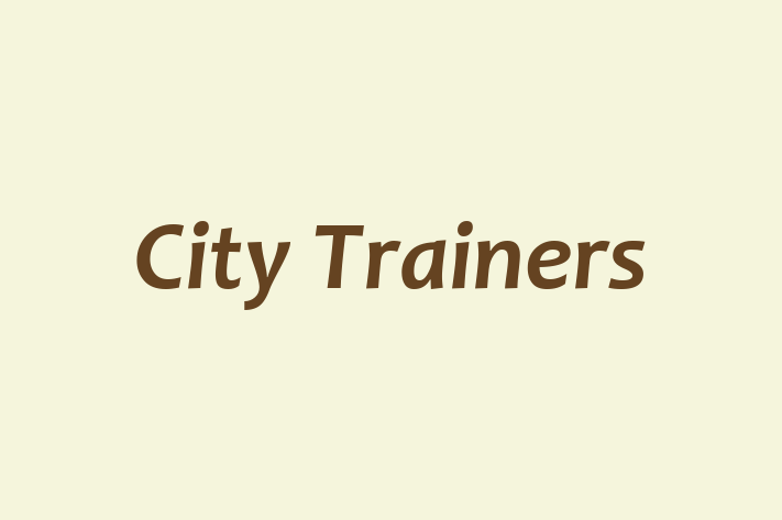 City Trainers