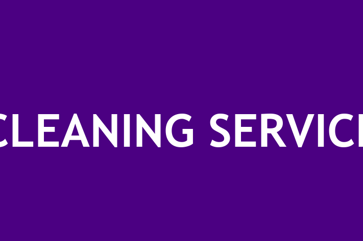 CLEANING SERVICE