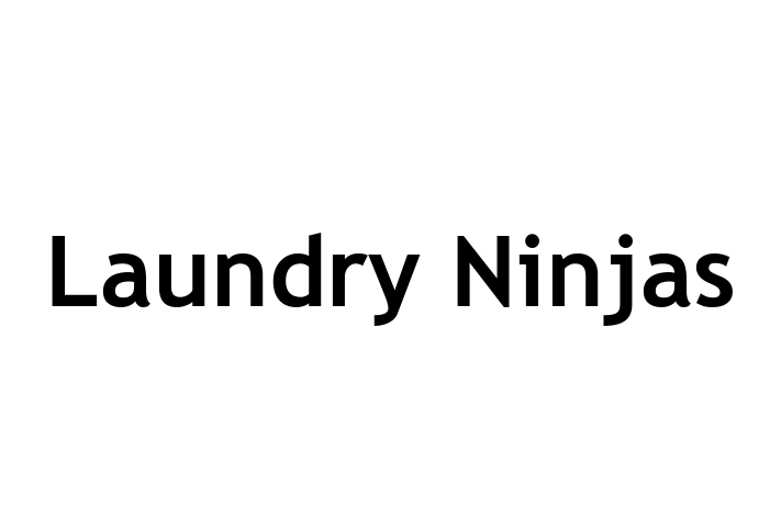 Laundry Ninjas