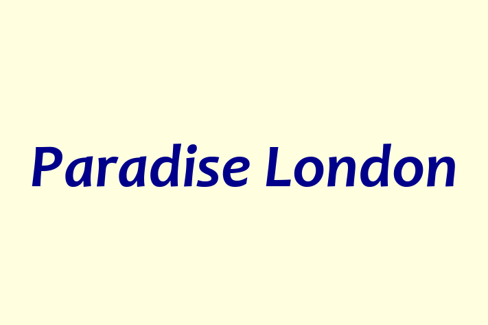 Paradise London